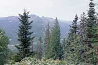 Mount St Helens, Washington