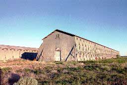 Old Saw Mill outside Burns