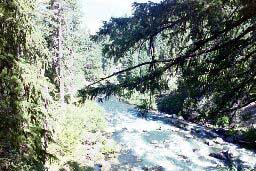 Rogue River