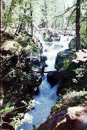 Falls on the Rogue River