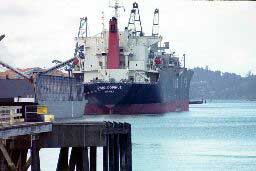 Daio Paper's wood chip carrier Copihue at dock