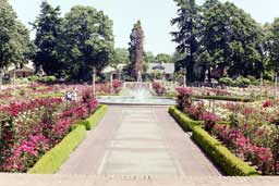 Peninsula Park Rose Garden, Portland, Oregon