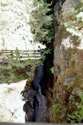 Glacial stream at Mount Rainier