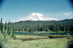 Mount Rainier from Reflection Lakes