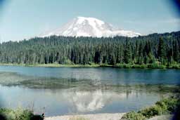 Mount Rainier from Reflection Lakes