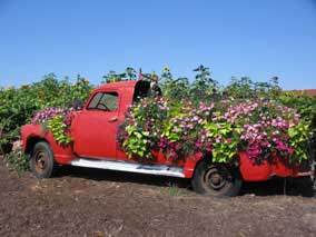 Sauvie Island