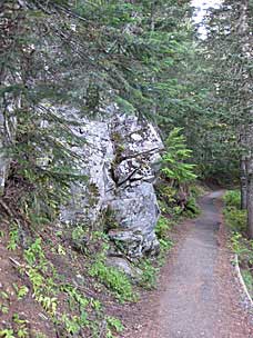 Trail to Sherrard Point