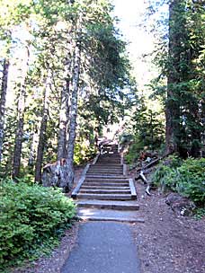 Steps on trail to Sherrard Point