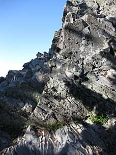 Closeup at summit of Larch Mountain