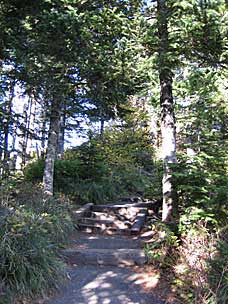 Steps on trail to Sherrard Point