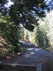 Steps on trail to Sherrard Point