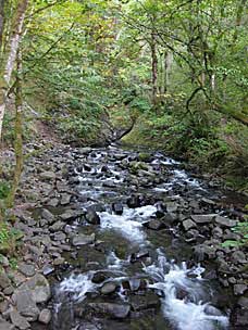 Bridal Veil Creek, Oregon