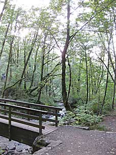 Bridal Veil Creek, Oregon