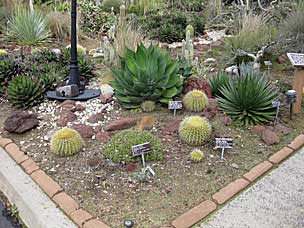 San Diego Botanic Garden - New World desert