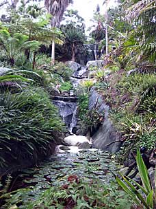 Waterfall at San Diego Botanic Garden