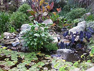 San Diego Botanic Garden