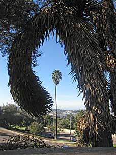 View from Junípero Serra Museum