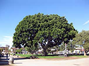 Plaza Viejo, Old Town San Diego