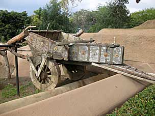 Traditional wagon pulled by bactrian camels at San Diego Zoo