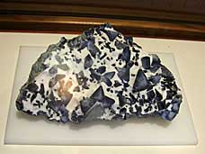 Benitoite and Neptunite in Natrolite at San Diego Natural History Museum