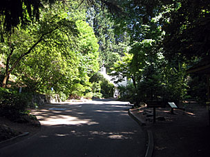 Manor house at Leach Botanical Garden