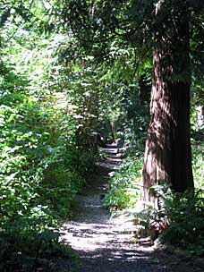 Path at Leach Botanical Garden