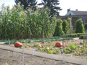 gardens at Fort Vancouver