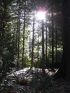 Fort Clatsop