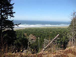 Cape Disappointment Beards Hollow Overlook