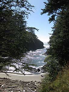 Cape Disappointment Dead Man's Cove