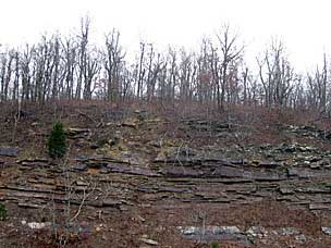 Jackfork sandstone outcrop and stunted hardwoods on Kiamichi Mountain, Ouachita National Forest