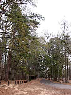 Beavers Bend State Park, Oklahoma