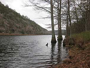 Mountain Fork River at Beavers Bend State Park, Oklahoma