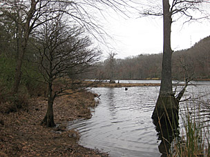 Mountain Fork River at Beavers Bend State Park, Oklahoma