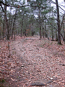 Cedar Bluff Trail at Beavers Bend State Park, Oklahoma