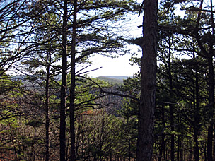 Ouachita Mountains and Ouachita National Forest