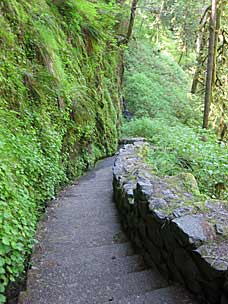 Stone steps on the way down to North Falls, Silver Falls State Park, Oregon