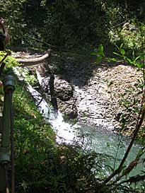 Twin Falls (31 feet), Silver Falls State Park, Oregon