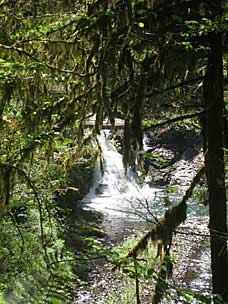 Twin Falls (31 feet), Silver Falls State Park, Oregon