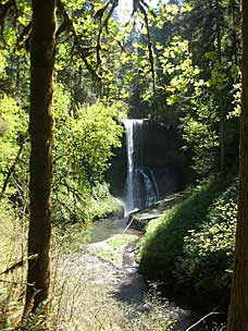 Middle North Falls (106 feet), Silver Falls State Park, Oregon