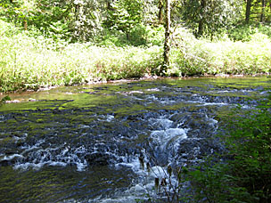 South Fork Silver Creek below South Falls, Silver Falls State Park, Oregon