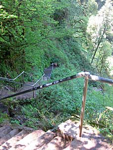 Stairs down to Lower South Falls, Silver Falls State Park, Oregon