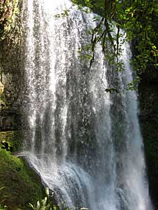 Lower South Falls (93 feet), Silver Falls State Park, Oregon