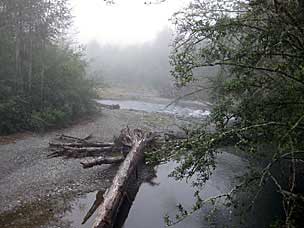 Dungeness River from railroad bridge walking path