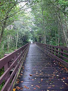 Railroad trestle walking path over the Dungeness River