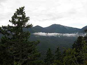 Viewpoint on the way up to Hurricane Ridge, Olympic National Park, Washington