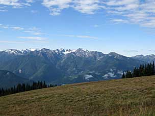 View from Hurricane Ridge, Olympic National Park, Washington