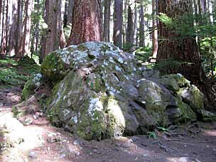 Trail to Sol Duc Falls, Olympic National Park, Washington