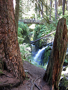 Sol Duc Falls, Olympic National Park, Washington