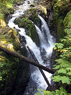 Sol Duc Falls, Olympic National Park, Washington